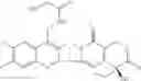 Fig. 63 - CAMPTOTHECIN DERIVATIVES