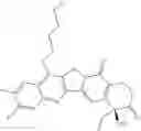 Fig. 76 - CAMPTOTHECIN DERIVATIVES