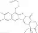 Fig. 84 - CAMPTOTHECIN DERIVATIVES