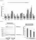 Fig. 03 - EXTRACELLULAR MATRIX MODULATING AGENT
