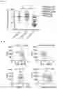 Fig. 08 - METHODS OF TREATING VENETOCLAX-RESISTANT ACUTE MYELOID LEUKEMIA