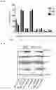 Fig. 09 - METHODS OF TREATING VENETOCLAX-RESISTANT ACUTE MYELOID LEUKEMIA