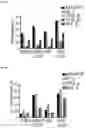Fig. 10 - METHODS OF TREATING VENETOCLAX-RESISTANT ACUTE MYELOID LEUKEMIA