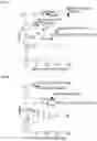 Fig. 13 - METHODS OF TREATING VENETOCLAX-RESISTANT ACUTE MYELOID LEUKEMIA