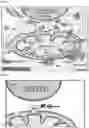 Fig. 14 - METHODS OF TREATING VENETOCLAX-RESISTANT ACUTE MYELOID LEUKEMIA