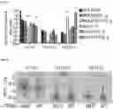 Fig. 18 - METHODS OF TREATING VENETOCLAX-RESISTANT ACUTE MYELOID LEUKEMIA