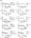 Fig. 22 - METHODS OF TREATING VENETOCLAX-RESISTANT ACUTE MYELOID LEUKEMIA