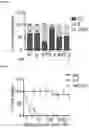 Fig. 24 - METHODS OF TREATING VENETOCLAX-RESISTANT ACUTE MYELOID LEUKEMIA