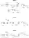 Fig. 02 - RORgamma modulators and uses thereof