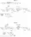 Fig. 03 - RORgamma modulators and uses thereof