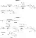 Fig. 06 - RORgamma modulators and uses thereof