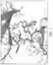 Fig. 02 - COMPOSITIONS AND METHODS FOR TREATING BASAL FOREBRAIN DISEASE