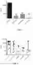 Fig. 05 - Methods and formulations for treatment of and/or protection against acute liver failure and other hepatotoxic conditions