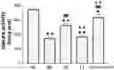 Fig. 01 - COMPOSITION OF LANOSTEROL PRODRUG COMPOUND, PREPARATION METHOD THEREFOR AND USE THEREOF