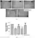 Fig. 05 - COMPOSITION OF LANOSTEROL PRODRUG COMPOUND, PREPARATION METHOD THEREFOR AND USE THEREOF