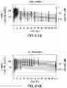 Fig. 35 - COMPOSITIONS OF OBETICHOLIC ACID AND METHODS OF USE