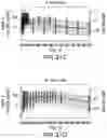 Fig. 36 - COMPOSITIONS OF OBETICHOLIC ACID AND METHODS OF USE