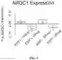 Fig. 03 - Methods and compositions related to glucocorticoid receptor antagonists and breast cancer