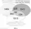 Fig. 05 - Methods and compositions related to glucocorticoid receptor antagonists and breast cancer