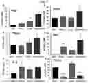 Fig. 11 - ESTROGEN RECEPTOR INHIBITORS AND USES THEROF