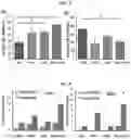 Fig. 12 - ESTROGEN RECEPTOR INHIBITORS AND USES THEROF
