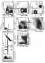 Fig. 14 - ESTROGEN RECEPTOR INHIBITORS AND USES THEROF