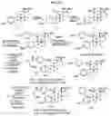 Fig. 19 - ESTROGEN RECEPTOR INHIBITORS AND USES THEROF
