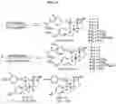 Fig. 21 - ESTROGEN RECEPTOR INHIBITORS AND USES THEROF