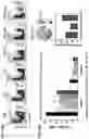 Fig. 29 - ESTROGEN RECEPTOR INHIBITORS AND USES THEROF