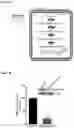 Fig. 02 - COMPOSITIONS AND METHODS USEFUL FOR TREATING DISEASES CHARACTERIZED BY INSUFFICIENT PANTOTHENATE KINASE ACTIVITY