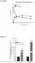 Fig. 11 - COMPOSITIONS AND METHODS USEFUL FOR TREATING DISEASES CHARACTERIZED BY INSUFFICIENT PANTOTHENATE KINASE ACTIVITY