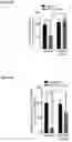 Fig. 16 - COMPOSITIONS AND METHODS USEFUL FOR TREATING DISEASES CHARACTERIZED BY INSUFFICIENT PANTOTHENATE KINASE ACTIVITY