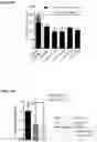 Fig. 22 - COMPOSITIONS AND METHODS USEFUL FOR TREATING DISEASES CHARACTERIZED BY INSUFFICIENT PANTOTHENATE KINASE ACTIVITY