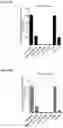 Fig. 29 - COMPOSITIONS AND METHODS USEFUL FOR TREATING DISEASES CHARACTERIZED BY INSUFFICIENT PANTOTHENATE KINASE ACTIVITY