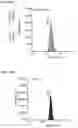 Fig. 33 - COMPOSITIONS AND METHODS USEFUL FOR TREATING DISEASES CHARACTERIZED BY INSUFFICIENT PANTOTHENATE KINASE ACTIVITY