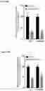 Fig. 40 - COMPOSITIONS AND METHODS USEFUL FOR TREATING DISEASES CHARACTERIZED BY INSUFFICIENT PANTOTHENATE KINASE ACTIVITY