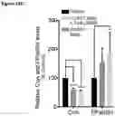 Fig. 42 - COMPOSITIONS AND METHODS USEFUL FOR TREATING DISEASES CHARACTERIZED BY INSUFFICIENT PANTOTHENATE KINASE ACTIVITY