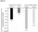 Fig. 48 - COMPOSITIONS AND METHODS USEFUL FOR TREATING DISEASES CHARACTERIZED BY INSUFFICIENT PANTOTHENATE KINASE ACTIVITY