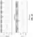 Fig. 09 - Identification and treatment of T-cell epitopes of short H2A oncohistones