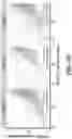 Fig. 11 - Identification and treatment of T-cell epitopes of short H2A oncohistones