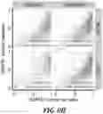 Fig. 23 - Identification and treatment of T-cell epitopes of short H2A oncohistones