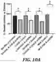 Fig. 30 - Identification and treatment of T-cell epitopes of short H2A oncohistones