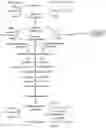 Fig. 01 - AMP-activated protein kinase activating compounds and uses thereof