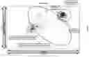 Fig. 20 - MODULATION OF CILIOGENESIS