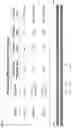 Fig. 06 - CRISPR/RNA-GUIDED NUCLEASE-RELATED METHODS AND COMPOSITIONS FOR TREATING RHO-ASSOCIATED AUTOSOMAL-DOMINANT RETINITIS PIGMENTOSA (ADRP)