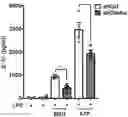 Fig. 01 - METHODS FOR TREATING MACROPHAGE-MEDIATED DISEASES, AND METHODS OF IDENTIFYING AGENTS USEFUL THEREFORE