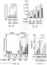 Fig. 08 - METHODS FOR TREATING MACROPHAGE-MEDIATED DISEASES, AND METHODS OF IDENTIFYING AGENTS USEFUL THEREFORE
