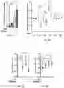 Fig. 14 - METHODS FOR TREATING MACROPHAGE-MEDIATED DISEASES, AND METHODS OF IDENTIFYING AGENTS USEFUL THEREFORE