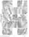 Fig. 04 - Compositions and Methods for Treating or Preventing Gut Permeability-Related Disorders