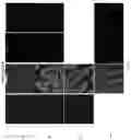 Fig. 10 - Compositions and Methods for Treating or Preventing Gut Permeability-Related Disorders